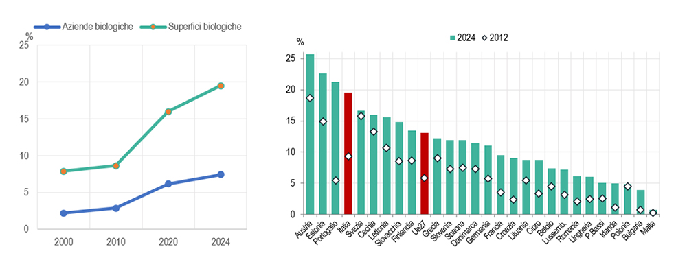 FIGURA 5. AZIENDE E SUPERFICI BIOLOGICHE IN ITALIA (SINISTRA) E SUPERFICI BIOLOGICHE NEI PAESI UE (DESTRA). ANNI 2000-2024 E 2012-2024. Quote percentuali sul totale (a)